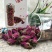平阴玫瑰花蕾无硫一级平阴玫瑰花蕾