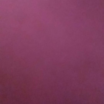 麸皮