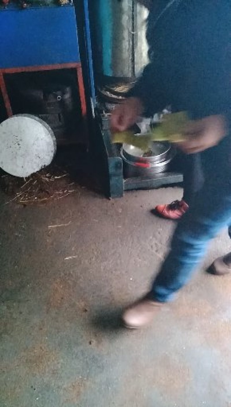 大山里自然生长成熟，农家传统工艺传统压榨的山茶油
