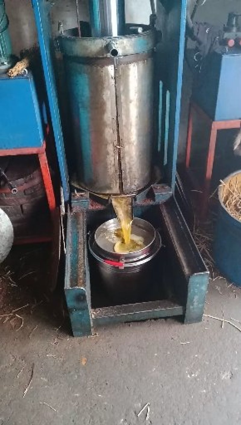 大山里自然生长成熟，农家传统工艺传统压榨的山茶油