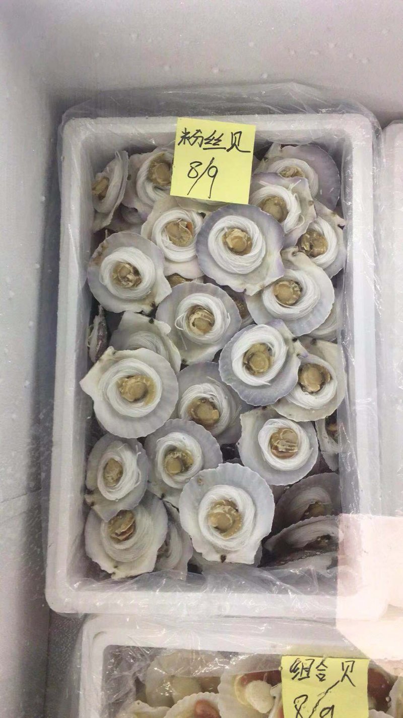 粉丝贝