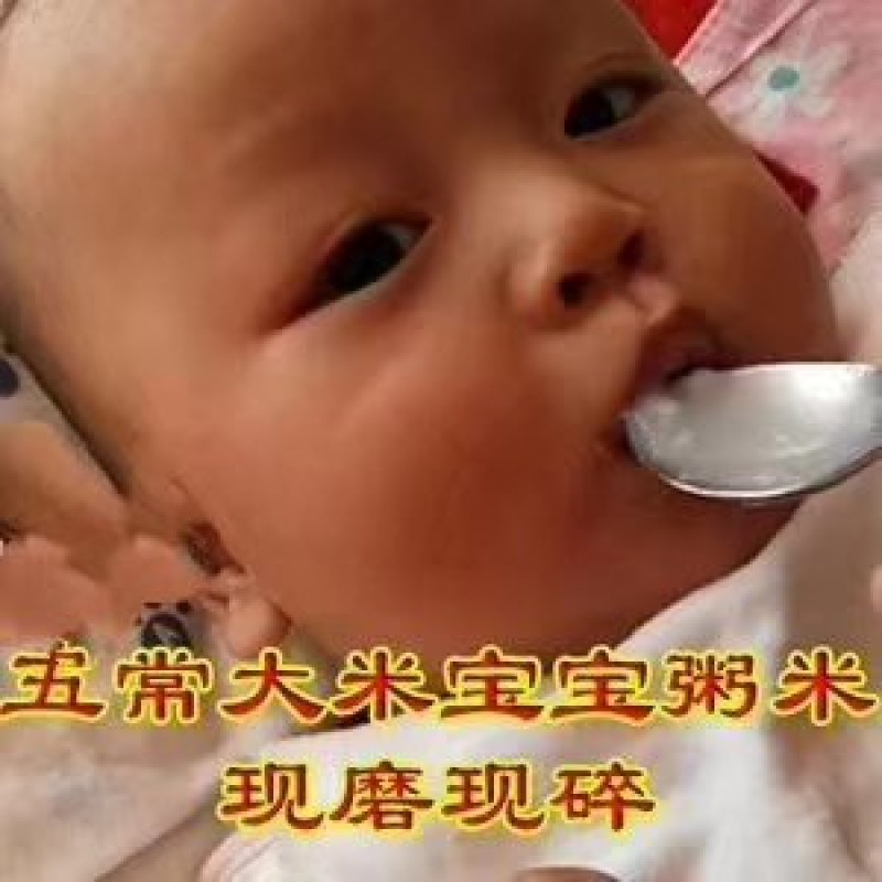 稻花香二号粥米，宝宝粥米，诚邀电微商，可一件代发。
