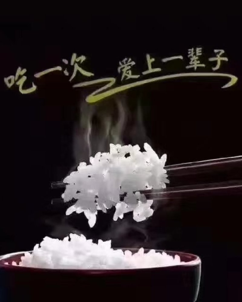 稻花香二号粥米，宝宝粥米，诚邀电微商，可一件代发。
