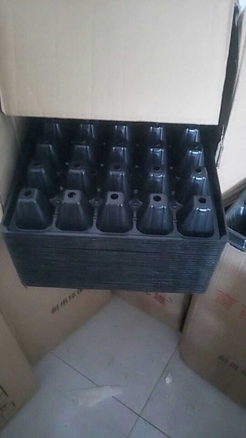 育苗盘