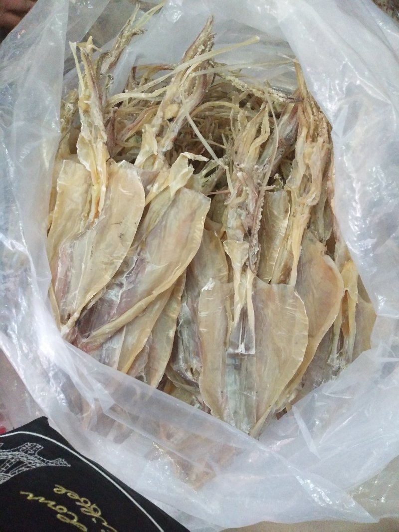 船上鱿鱼