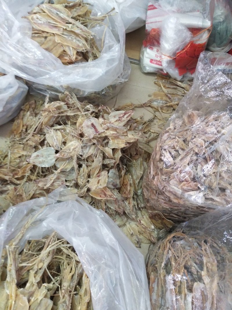 船上鱿鱼