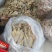 船上鱿鱼