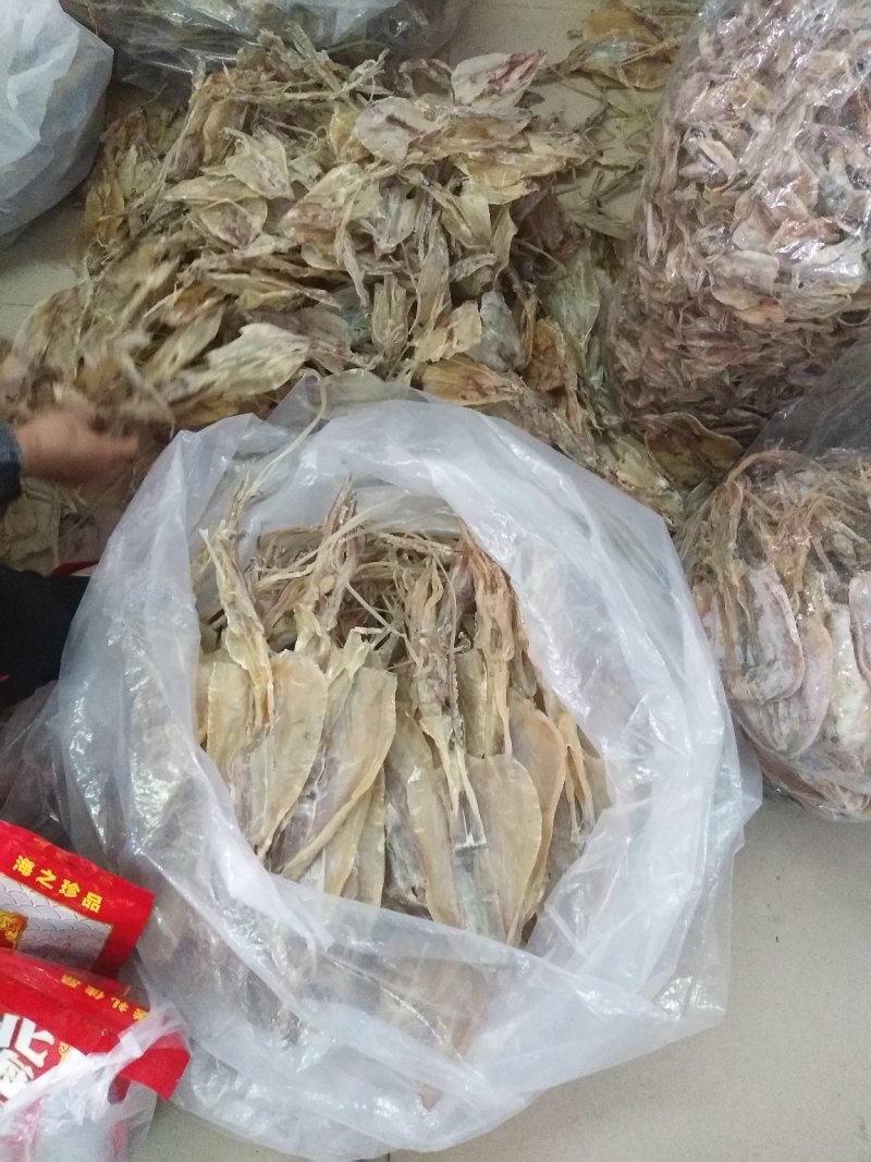 船上鱿鱼