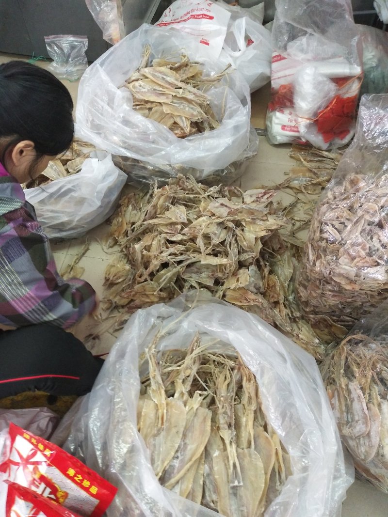 船上鱿鱼
