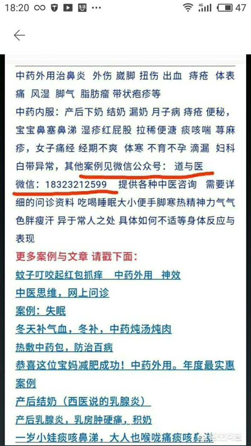 出售明年可以结果的蓝莓树