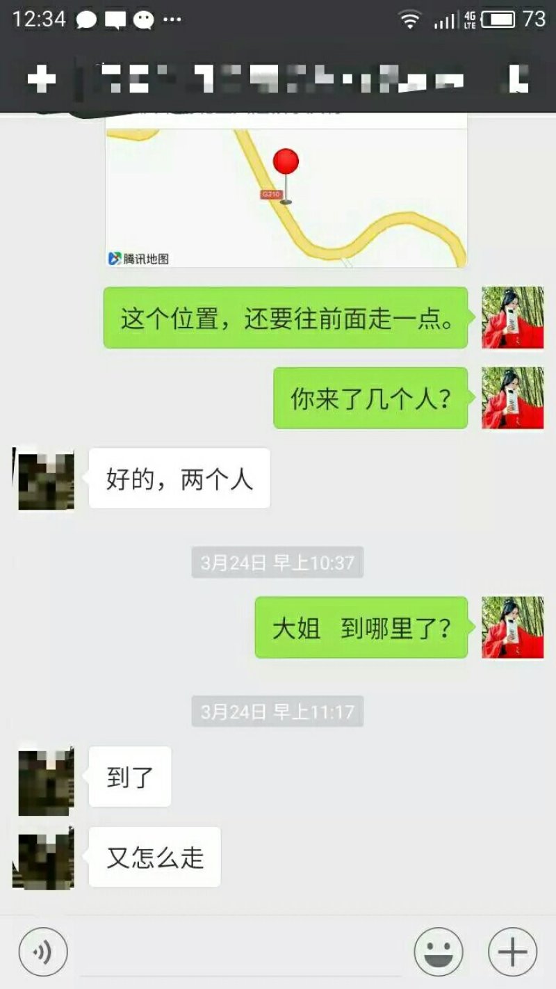 出售明年可以结果的蓝莓树