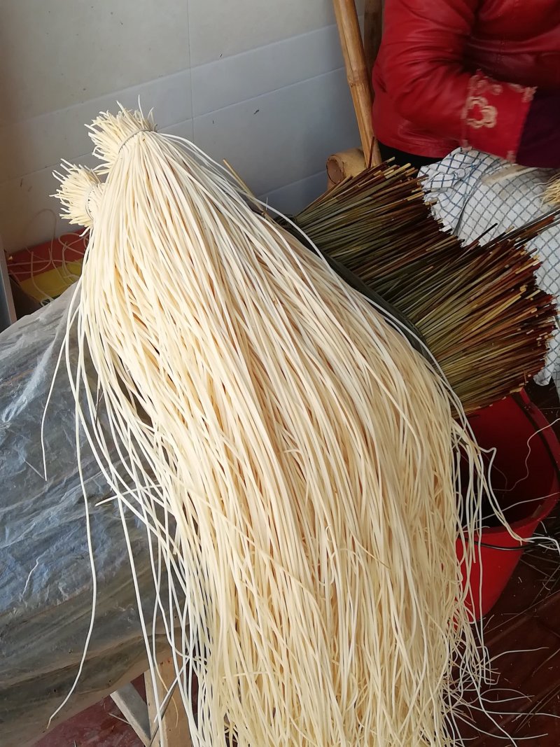 全国最大万亩灯心草基地