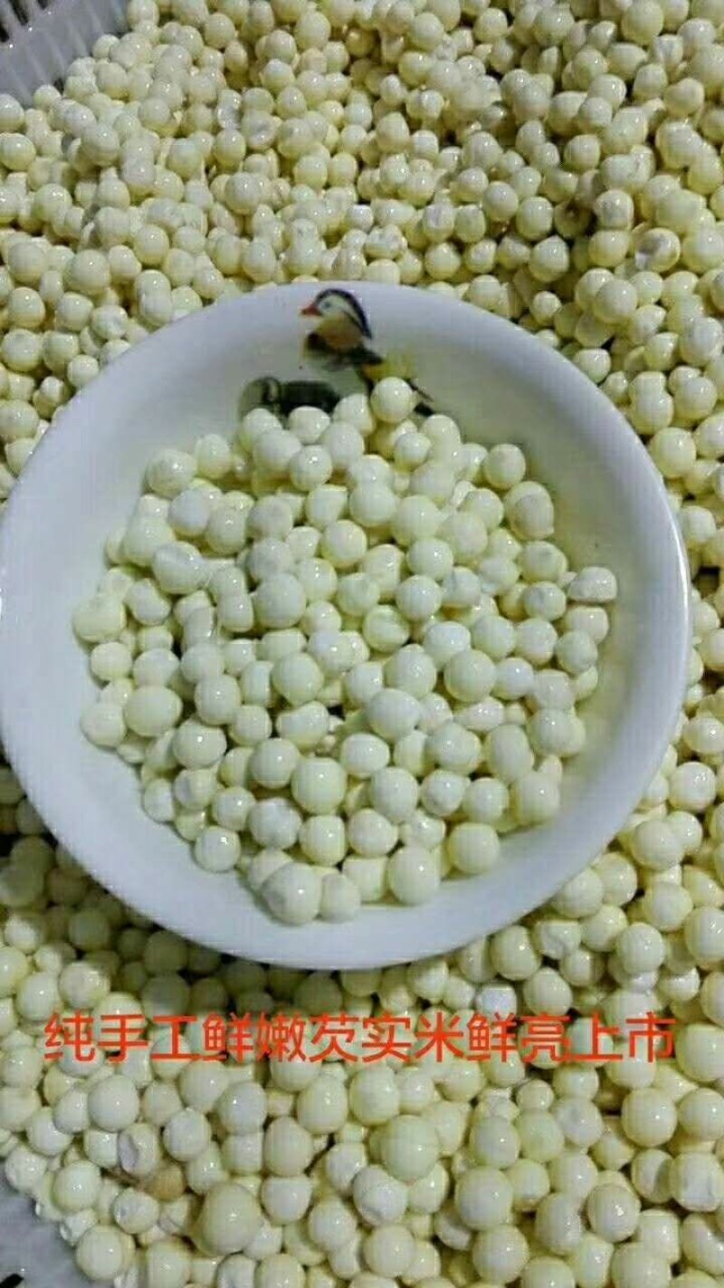 速冻鲜芡实！东吴芡实为您提供更新鲜更营养的鲜芡实！
