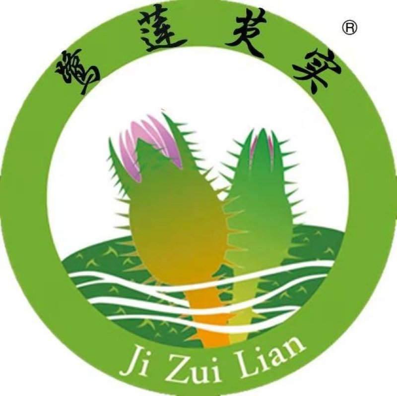 速冻鲜芡实！东吴芡实为您提供更新鲜更营养的鲜芡实！