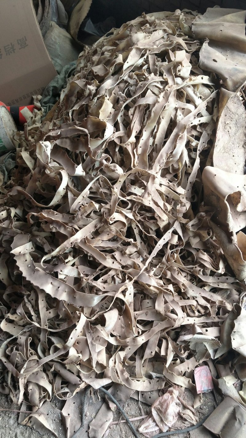 大量出售牛皮下角料