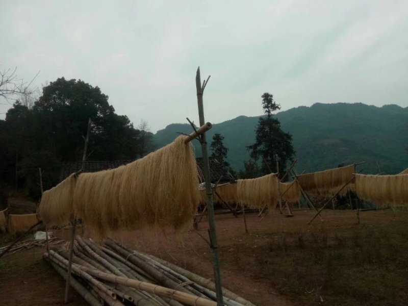 红薯粉条
