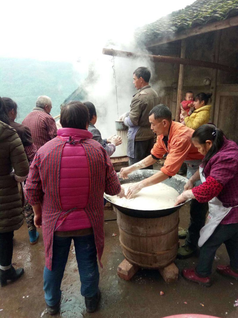 红薯粉条