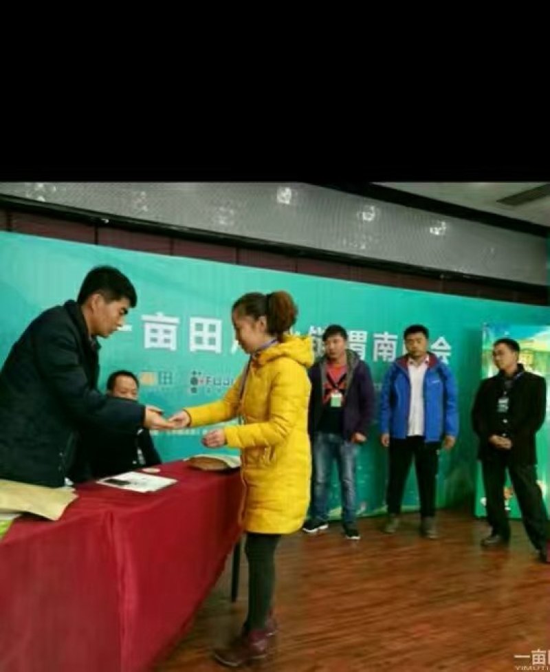 富平柿饼精美独立包装大量天然霜降柿饼批发