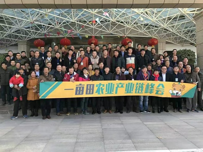 富平柿饼精美独立包装大量天然霜降柿饼批发