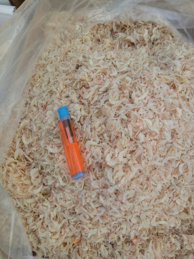 大量批发无盐虾皮，渤海湾虾皮