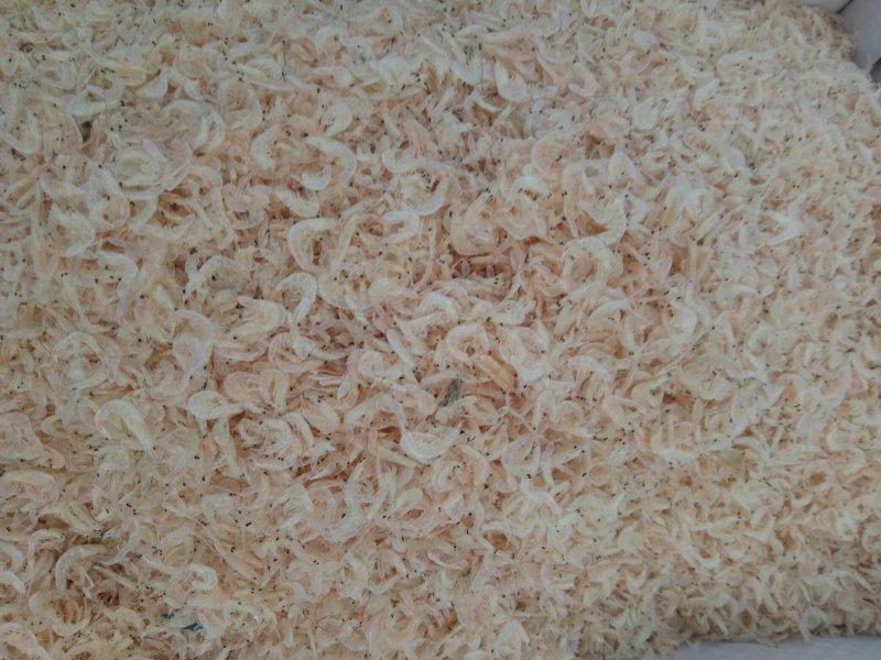 大量批发无盐虾皮，渤海湾虾皮