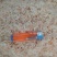 大量批发无盐虾皮，渤海湾虾皮