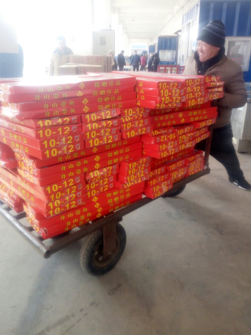 国产，进口鲜带鱼，大量批发