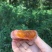 广西桂林恭城柿饼10斤带箱批发包邮