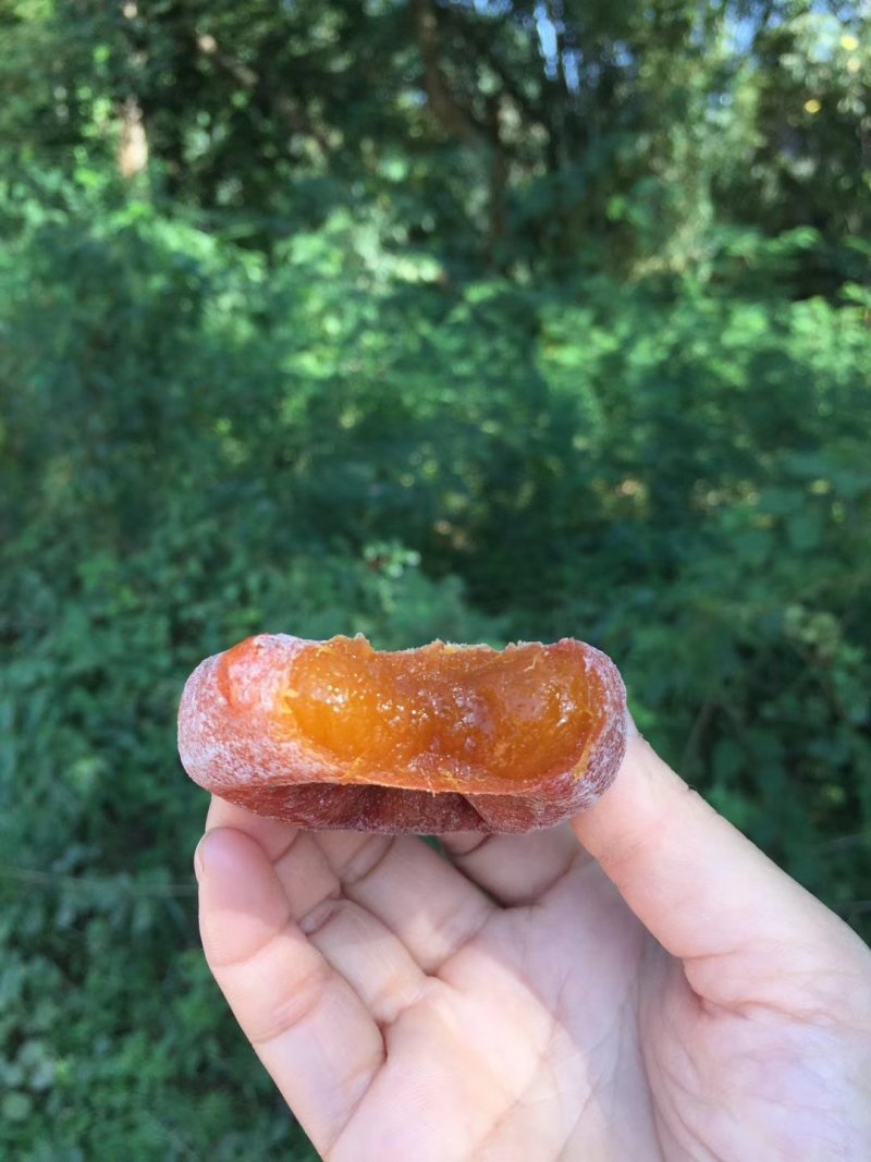 广西桂林恭城柿饼10斤带箱批发包邮