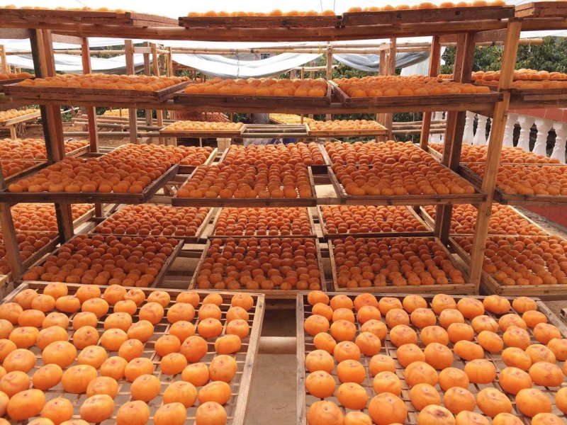 广西桂林恭城柿饼10斤带箱批发包邮