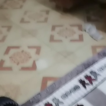 本人诚招合作伙伴，我有场地，工人，求药草种植伙伴