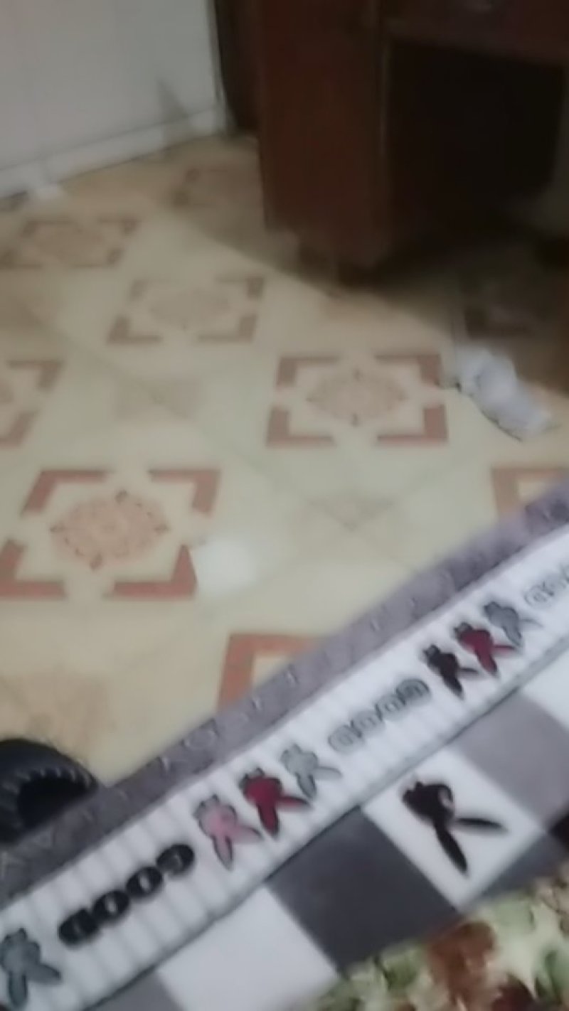 本人诚招合作伙伴，我有场地，工人，求药草种植伙伴