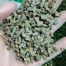 木贼草批发零售各种规格中药材批发零售中药材
