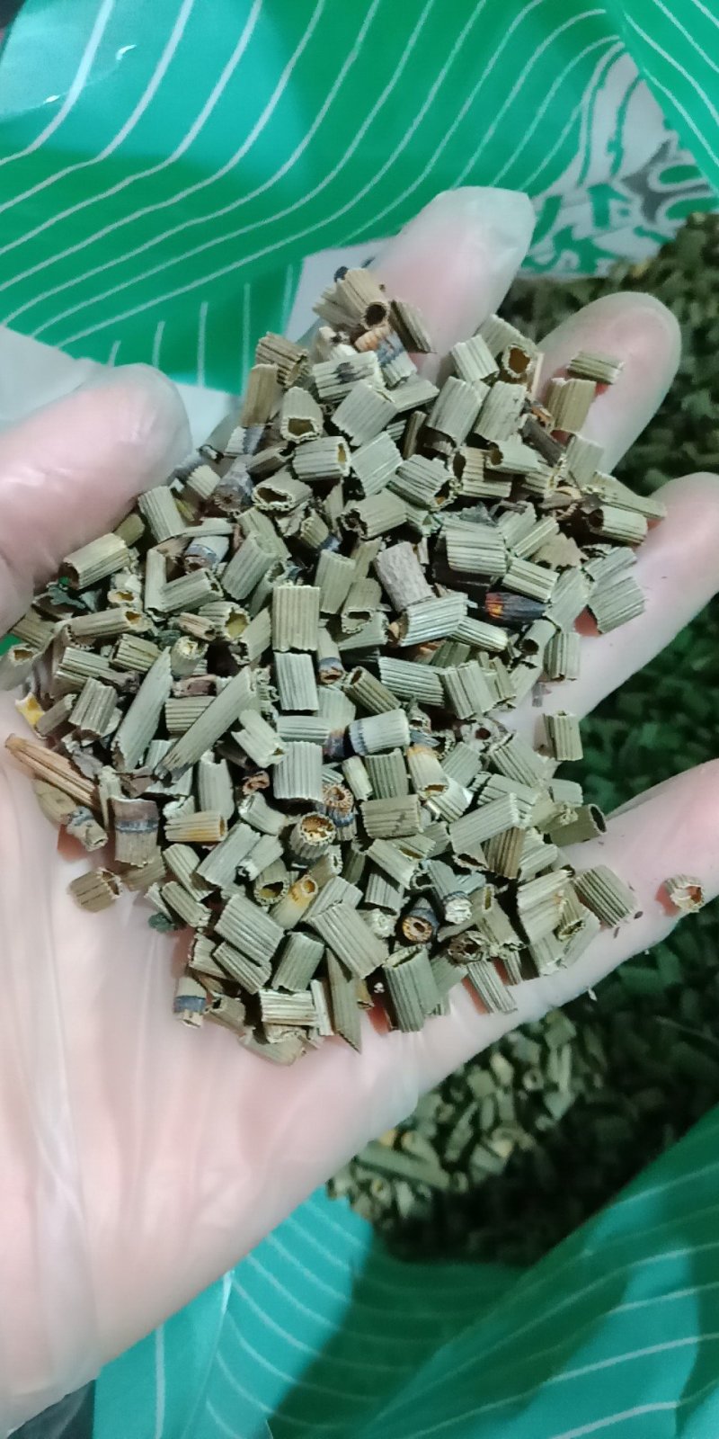 木贼草批发零售各种规格中药材批发零售中药材