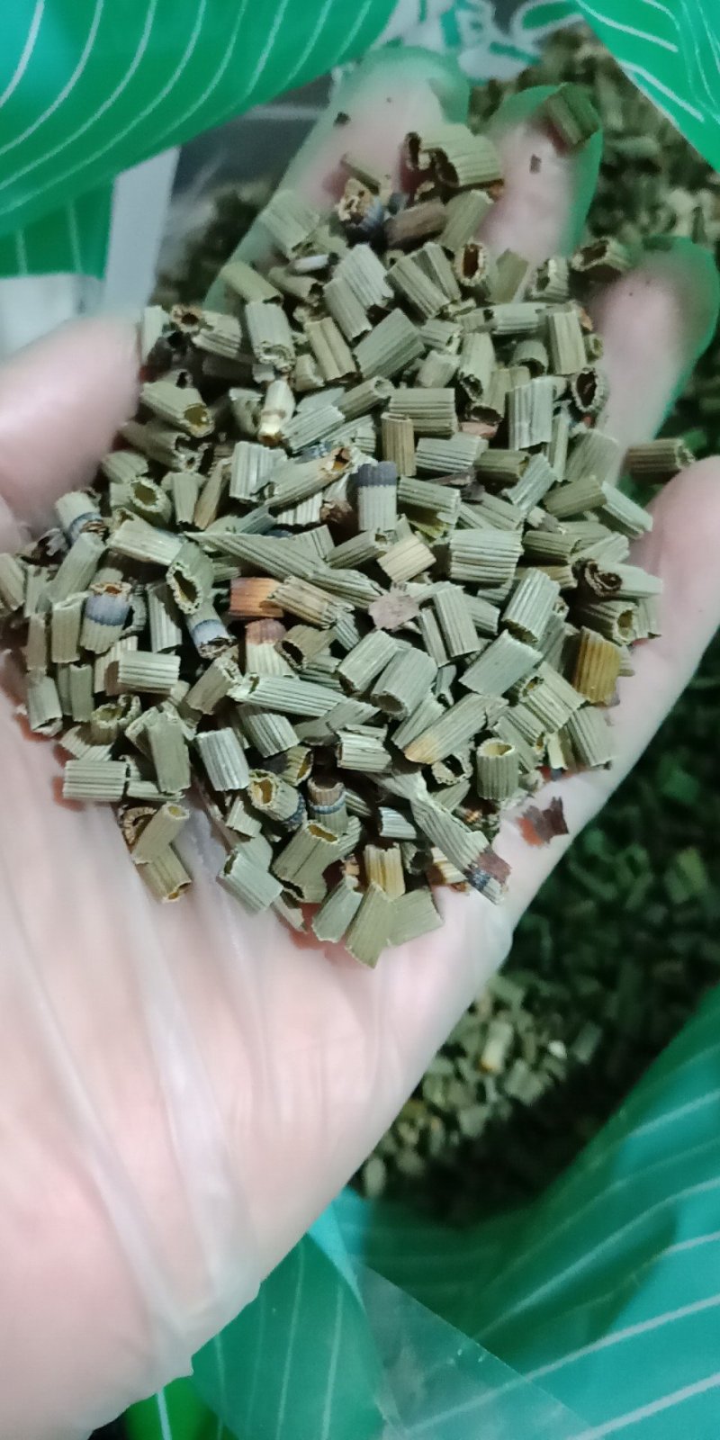 木贼草批发零售各种规格中药材批发零售中药材