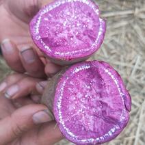 紫薯，紫罗兰黑金刚店商市场直供，现场订购