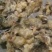 蛇饲料毛鸡