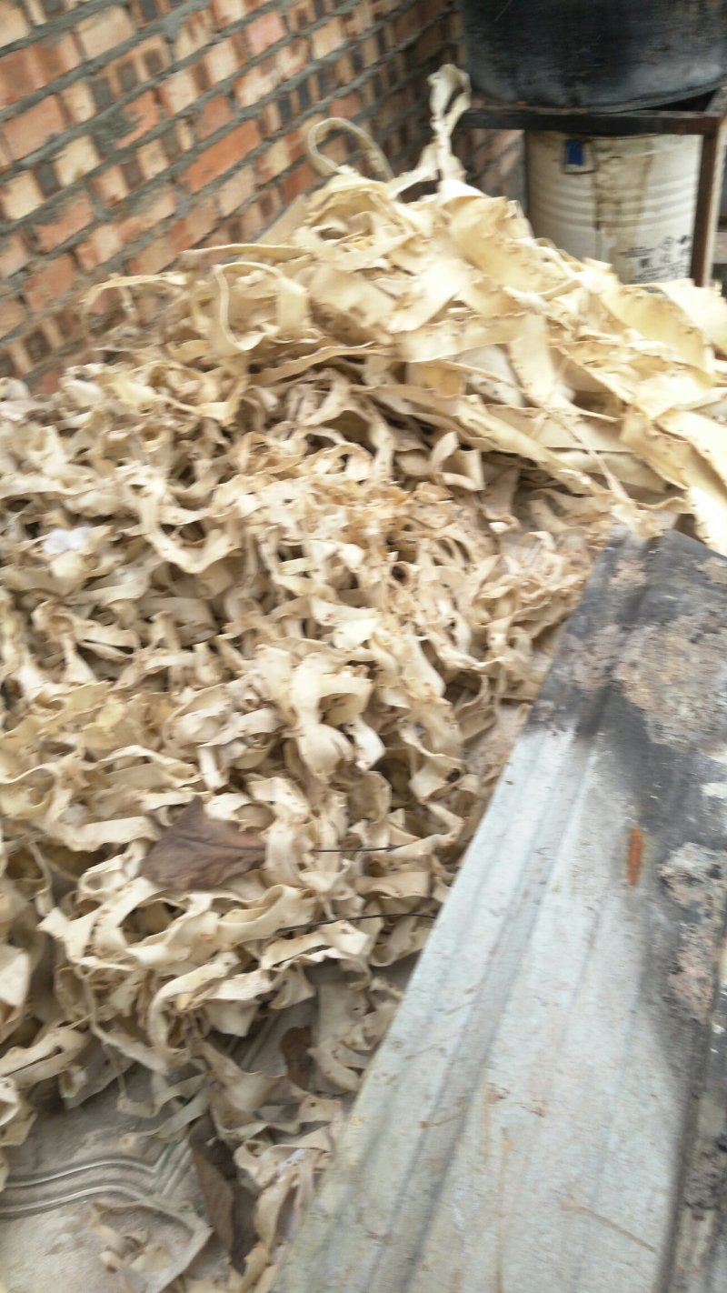 大量出售牛皮下角料！