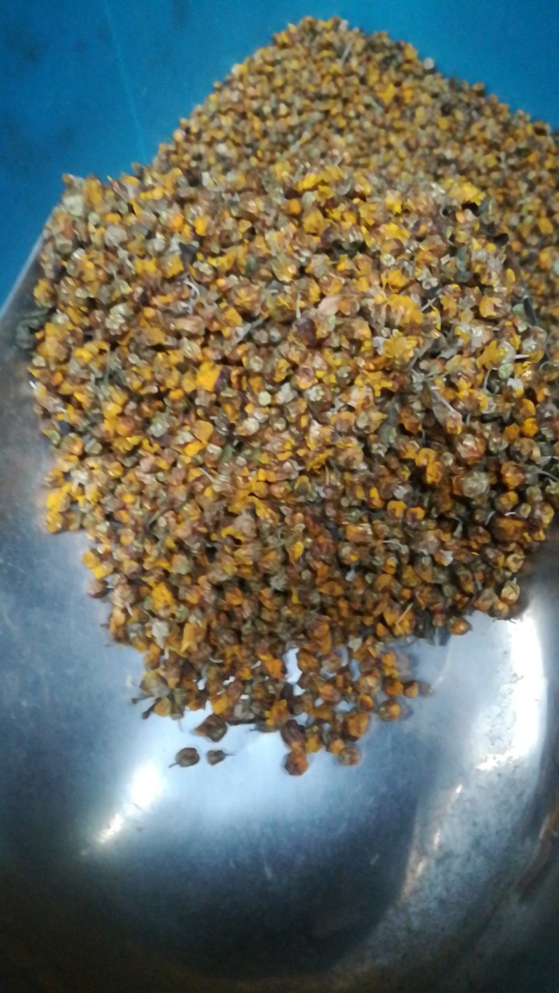 野菊花胎菊米菊花茶手工挑选净货