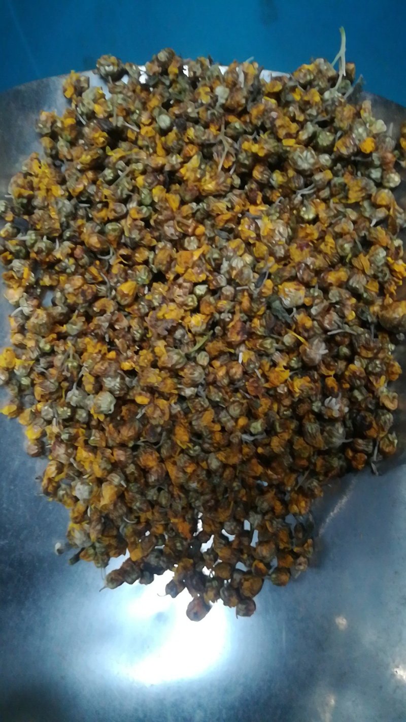 野菊花胎菊米菊花茶手工挑选净货