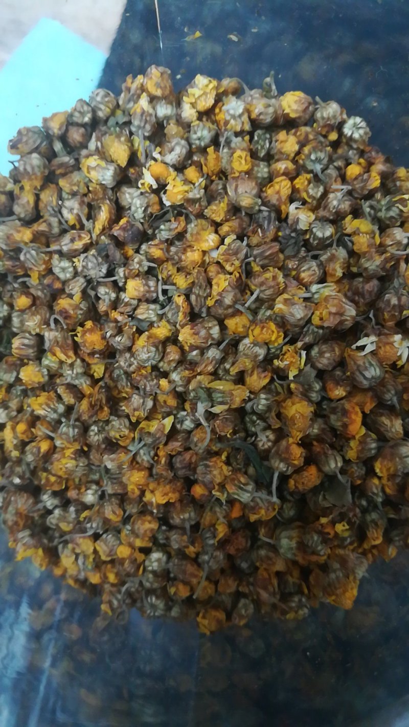 野菊花胎菊米菊花茶手工挑选净货