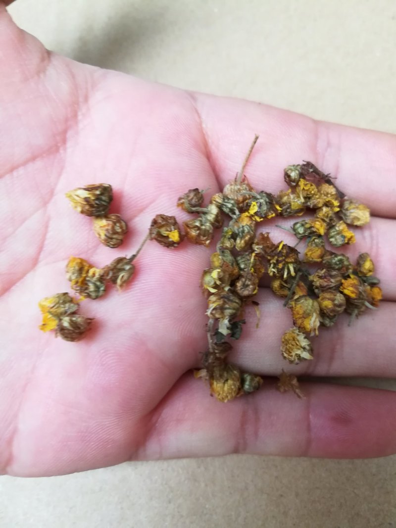 野菊花胎菊米菊花茶手工挑选净货