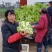 500多亩儿菜，预计12月中旬大量上市，量大从优