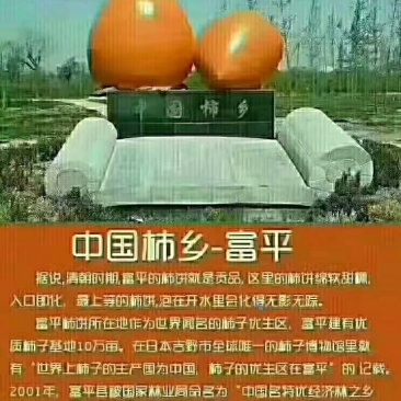 柿饼之乡