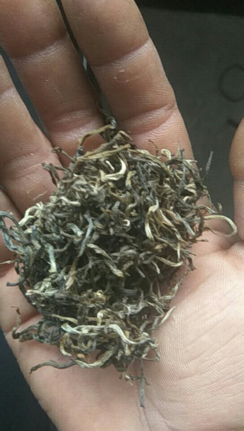 春茶