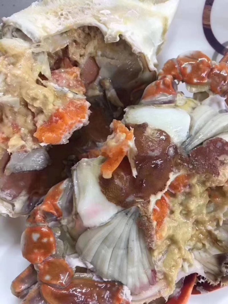三点红梭子蟹