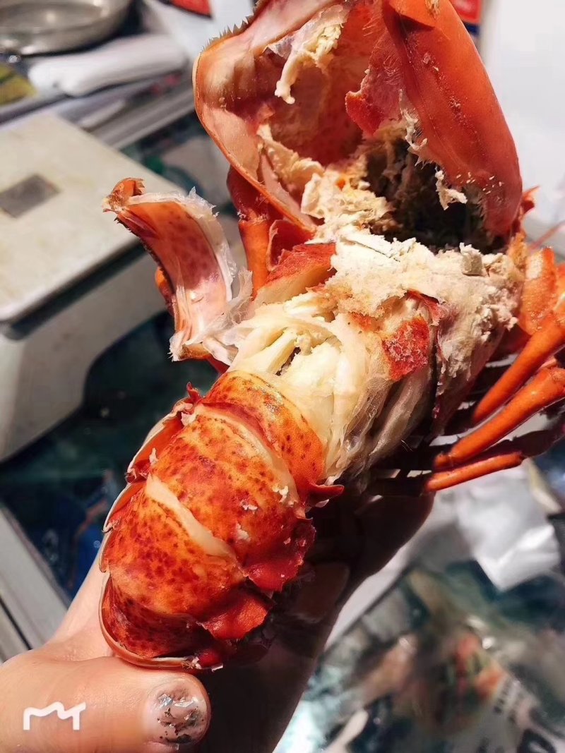 小波龙