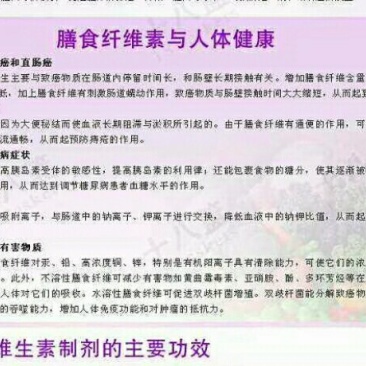 阳荷