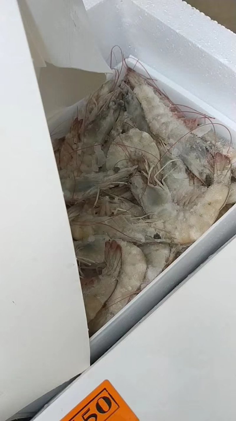 厄瓜多尔白虾冻虾