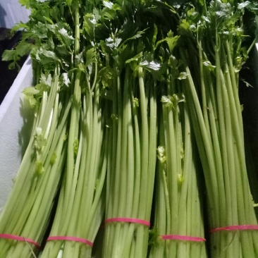 芹菜